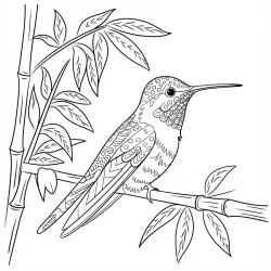 Beija-flor para imprimir e colorir