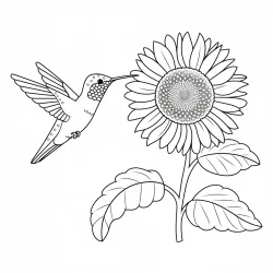 Beija-flor para imprimir e colorir