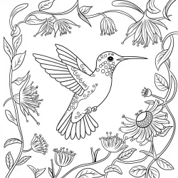 Beija-flor para imprimir e colorir