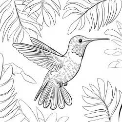 Beija-flor para imprimir e colorir