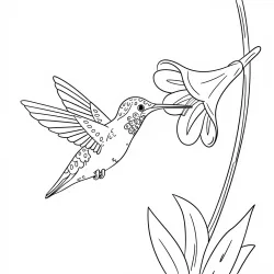 Beija-flor para imprimir e colorir