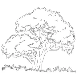 Natureza para imprimir e colorir