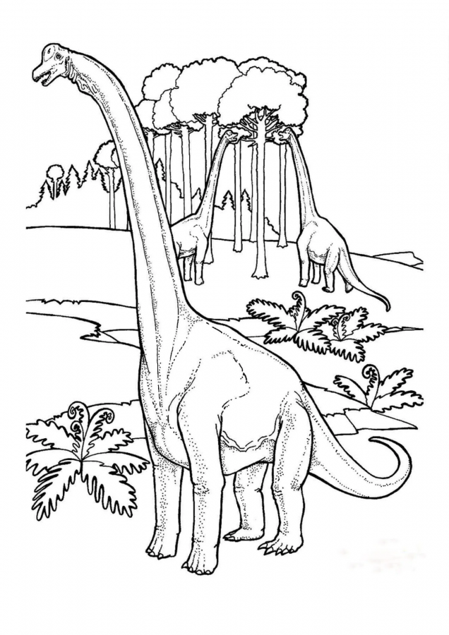 Dinossauros para imprimir e colorir