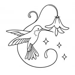 Beija-flor para imprimir e colorir