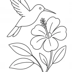 Beija-flor para imprimir e colorir