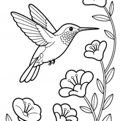 Beija-flor para imprimir e colorir