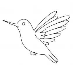 Beija-flor para imprimir e colorir