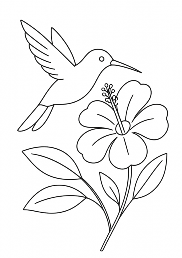 Beija-flor para imprimir e colorir