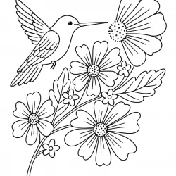Beija-flor para imprimir e colorir