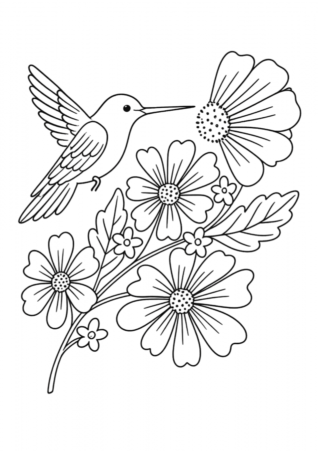 Beija-flor para imprimir e colorir