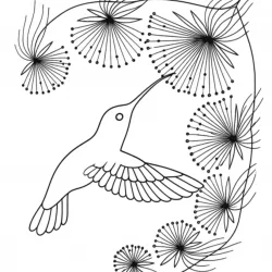 Beija-flor para imprimir e colorir