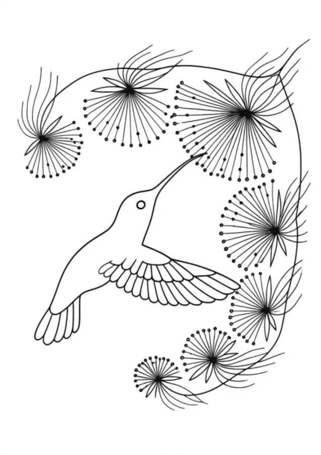 Beija-flor para imprimir e colorir