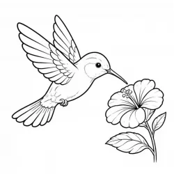 Beija-flor para imprimir e colorir