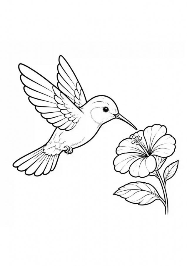 Beija-flor para imprimir e colorir