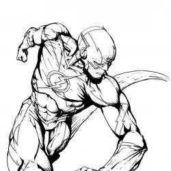 Flash para imprimir e colorir