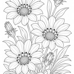 Flores