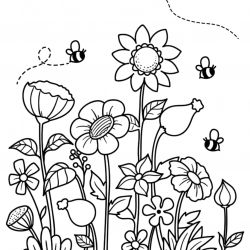 Flores