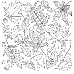 Folhas para imprimir e colorir