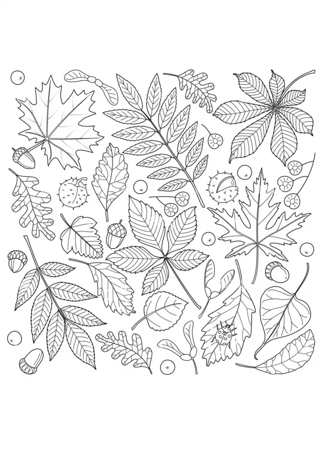 Folhas para imprimir e colorir