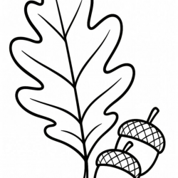 Folhas para imprimir e colorir