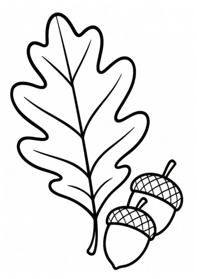 Folhas para imprimir e colorir