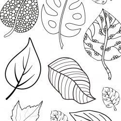 Folhas para imprimir e colorir
