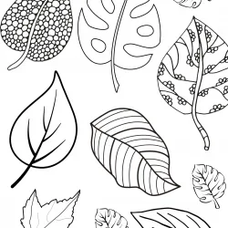 Folhas para imprimir e colorir