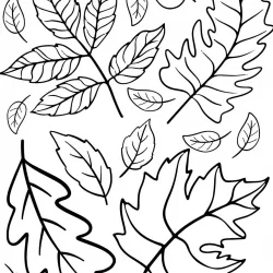 Folhas para imprimir e colorir