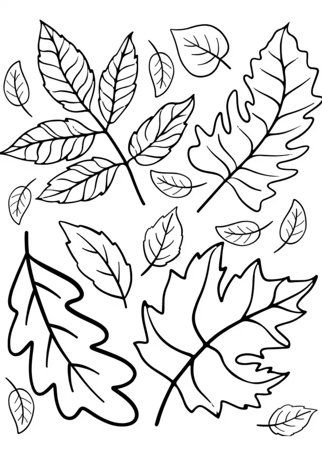 Folhas para imprimir e colorir