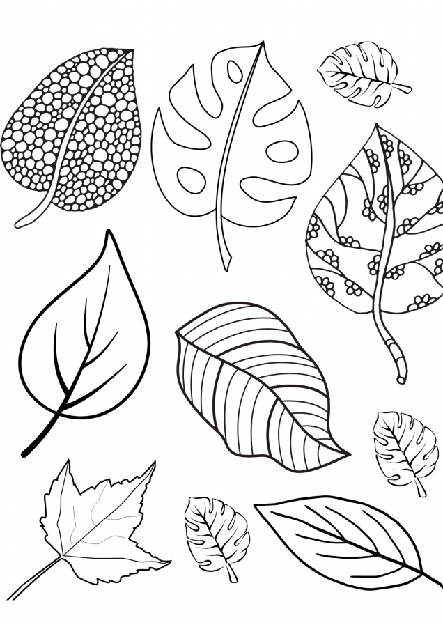 Folhas para imprimir e colorir