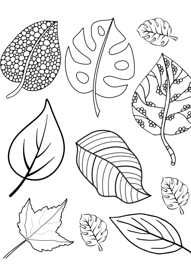 Folhas para imprimir e colorir