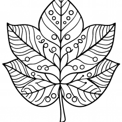Folhas para imprimir e colorir