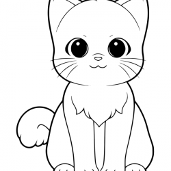 Gatos