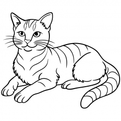 Gatos