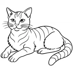 Gatos para imprimir e colorir