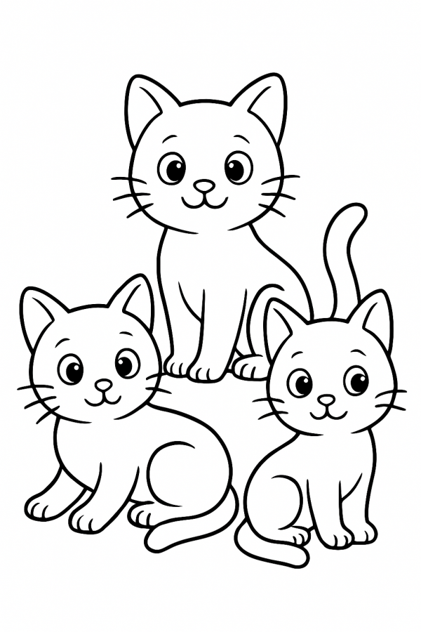 Gatos