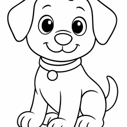 Cachorros