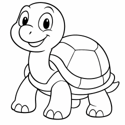 Tartarugas