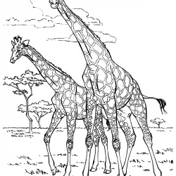 Girafas para imprimir e colorir