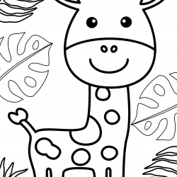 Girafas