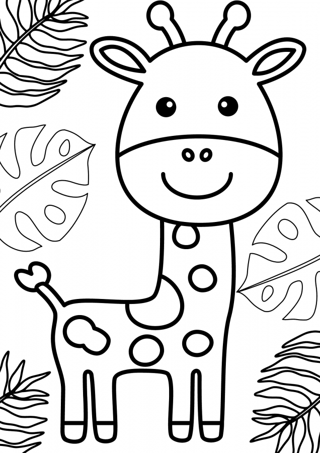 Girafas