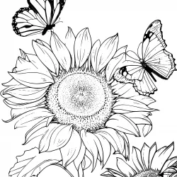 Girassol para imprimir e colorir