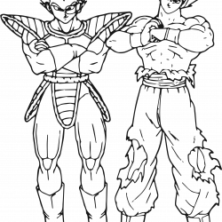 Dragon Ball Z