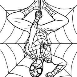 Homem-Aranha