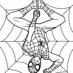 Homem-Aranha para imprimir e colorir