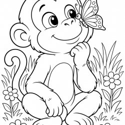 Macacos
