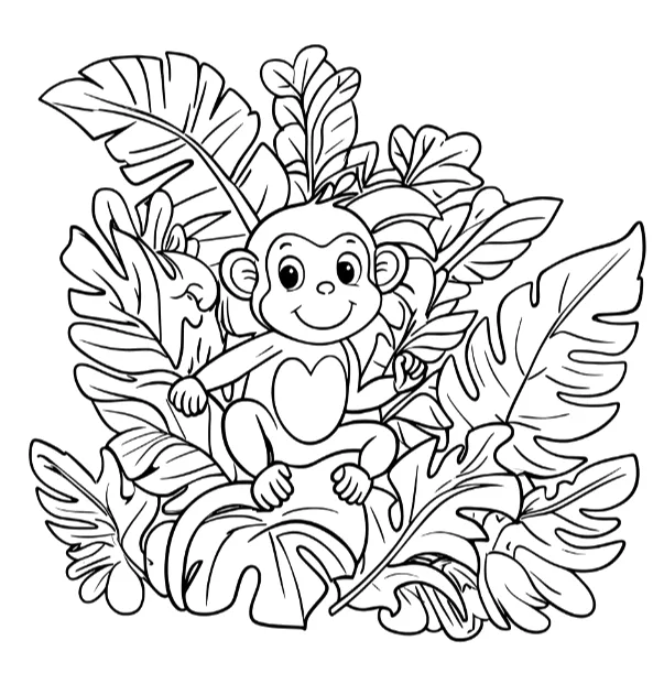 Macacos