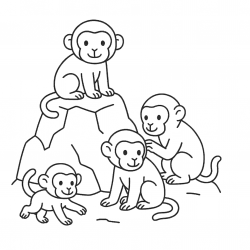 Macacos