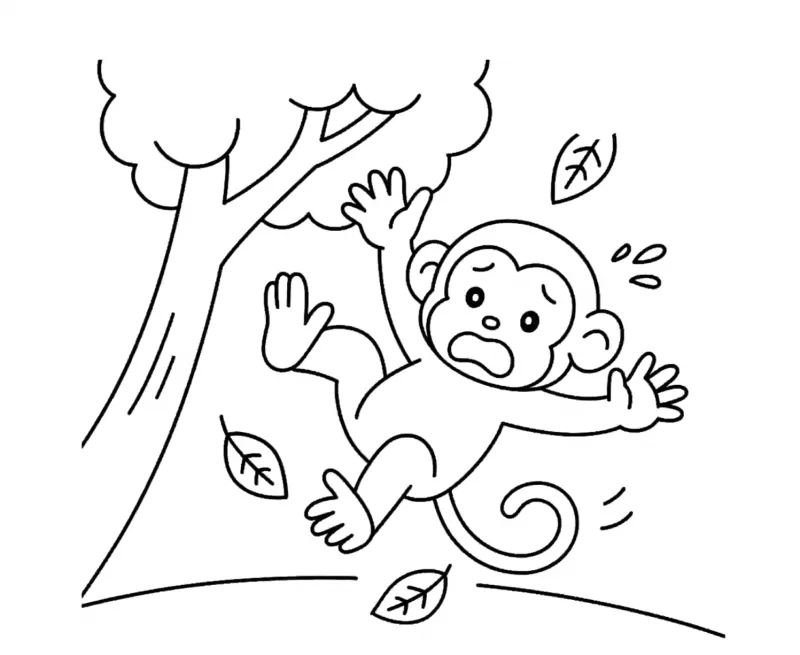 Macacos