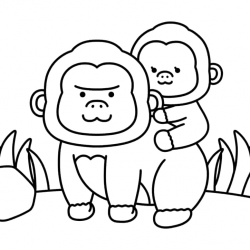 Macacos